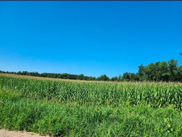 Root V/L Road, Constantine, MI 49042