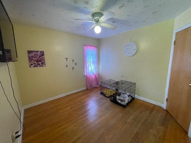 Photo 6