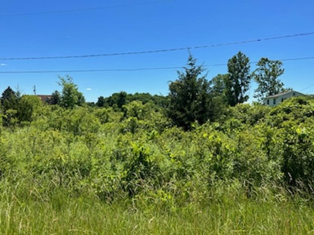 0 E Wilson Road, Clio, MI 48420