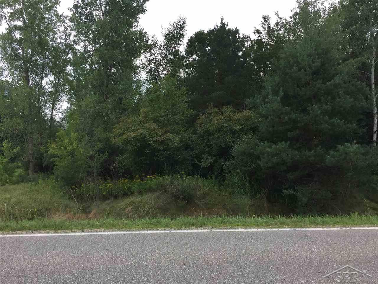 1166 E Freeland Road, Merrill, MI 48637