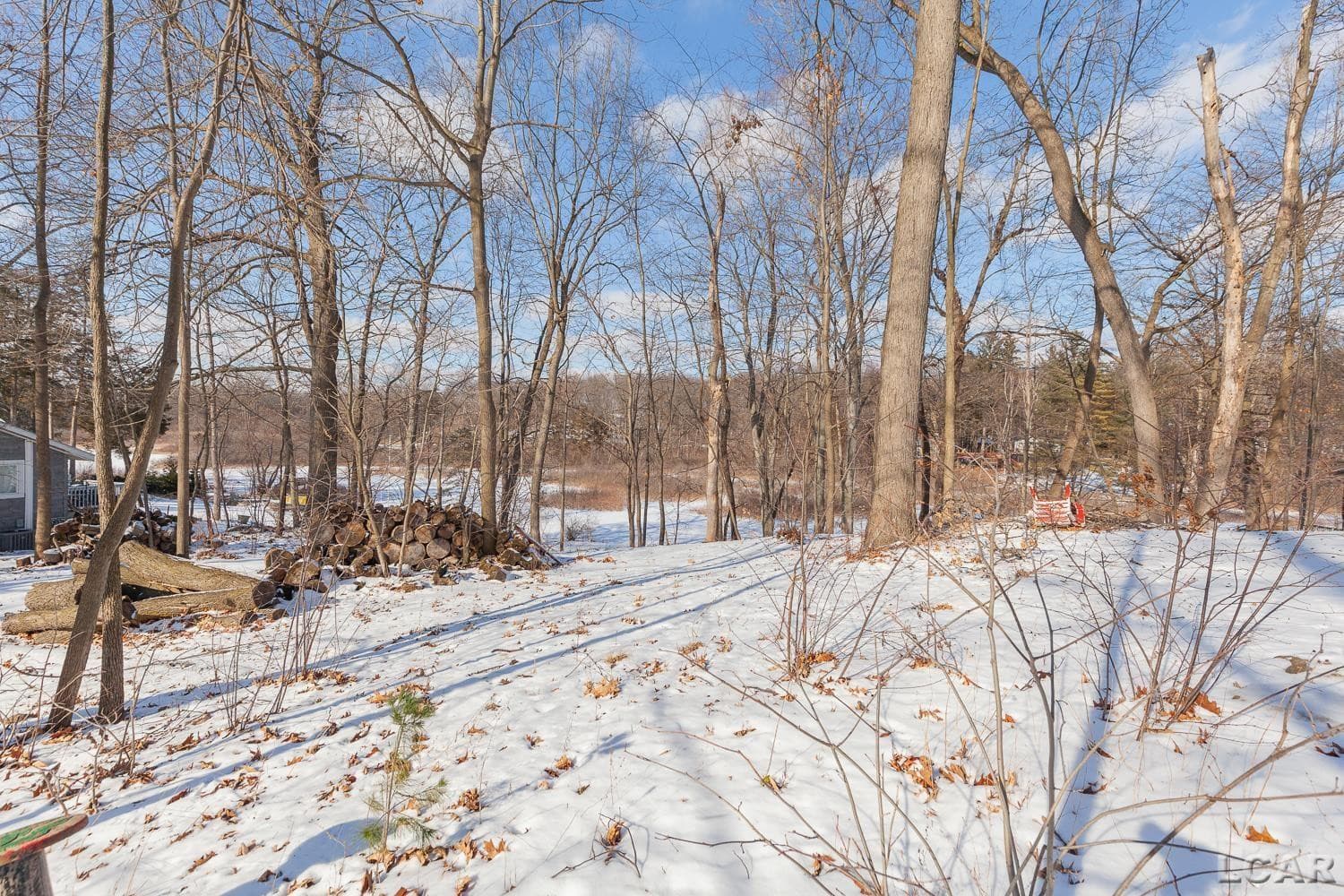 12456 Crystal Lake Drive, Cement City, MI 49233