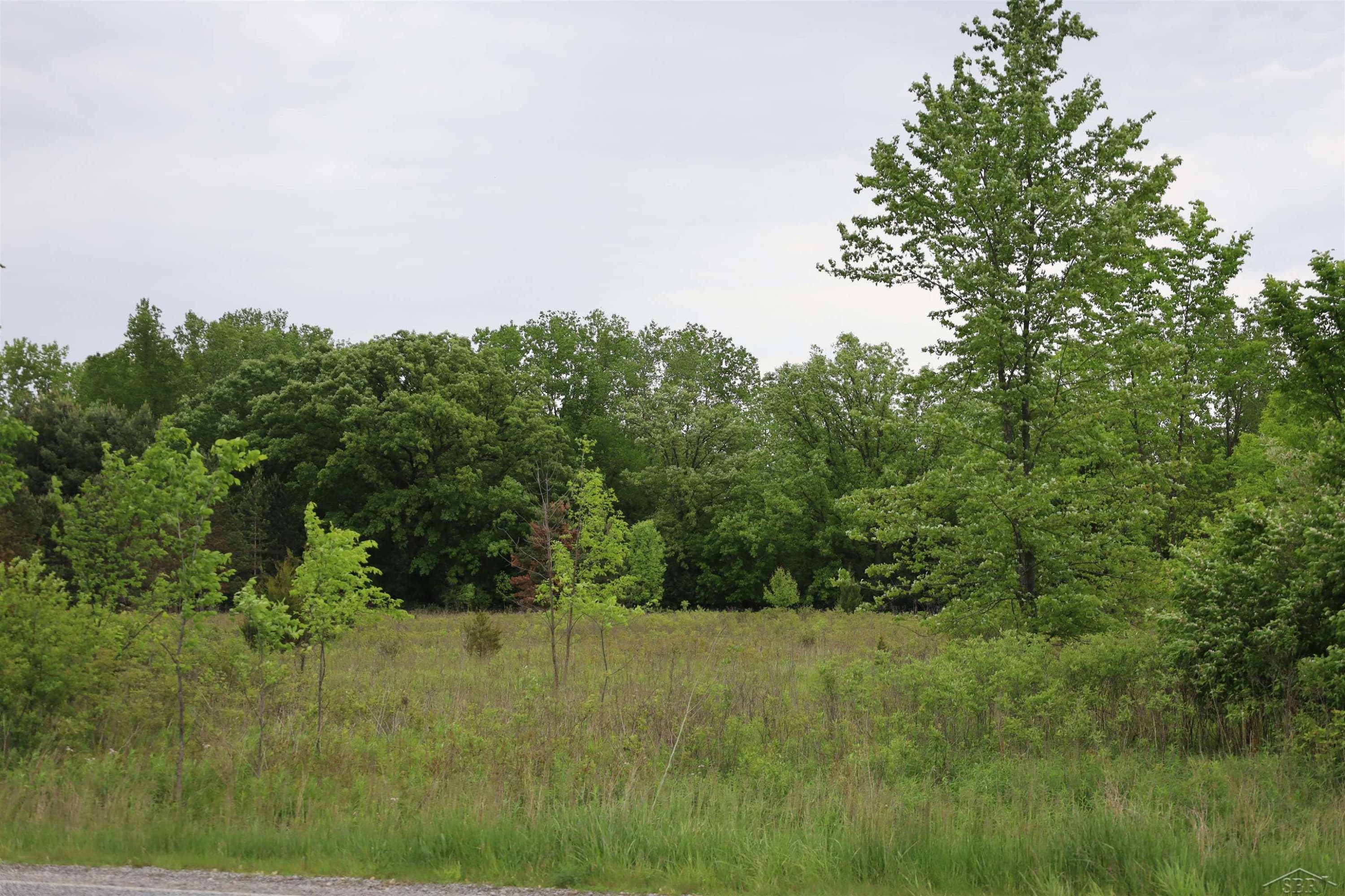 VL Beyer Road, Birch Run, MI 48415
