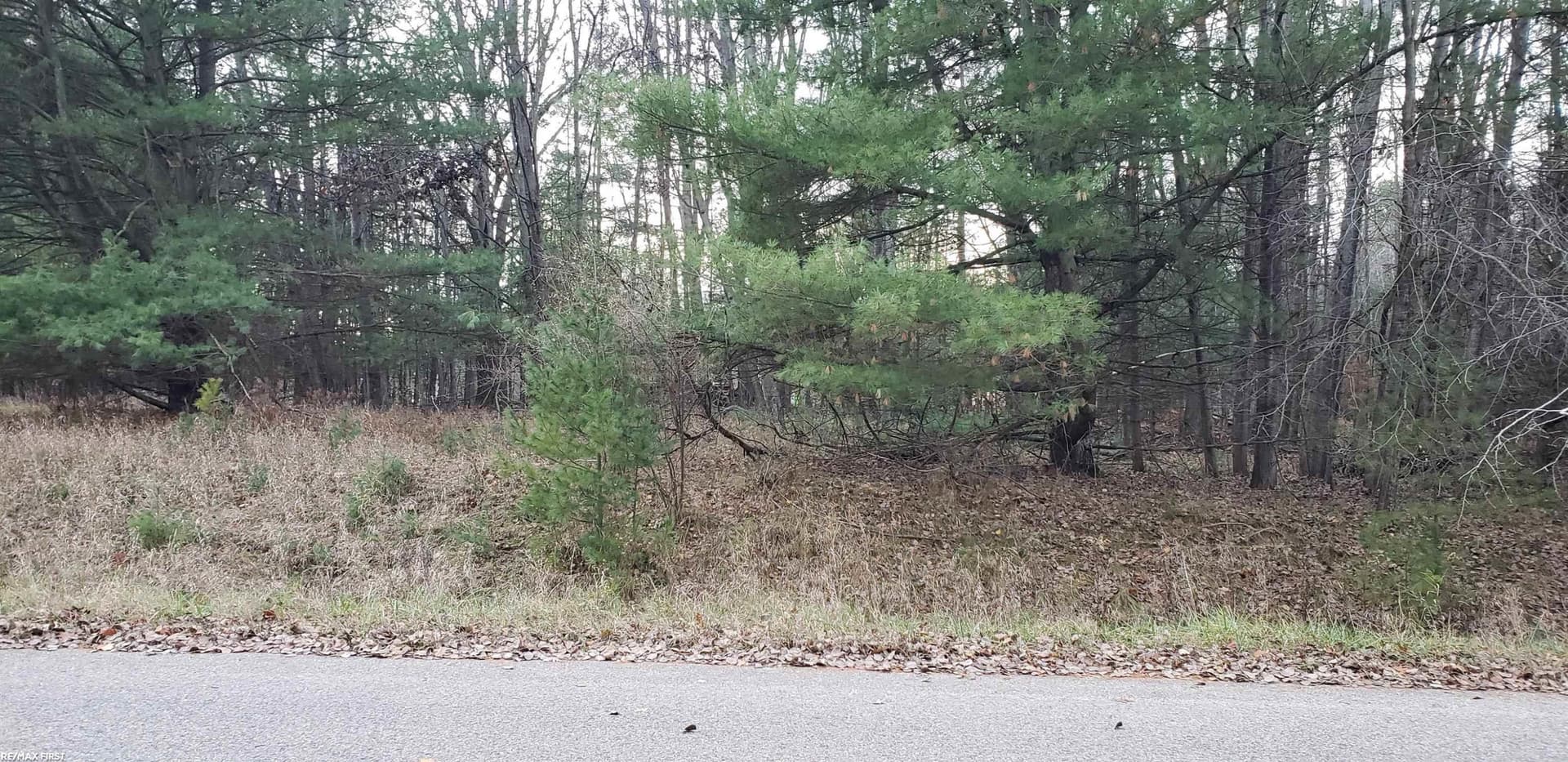 Robindale Way, Gladwin, MI 48624