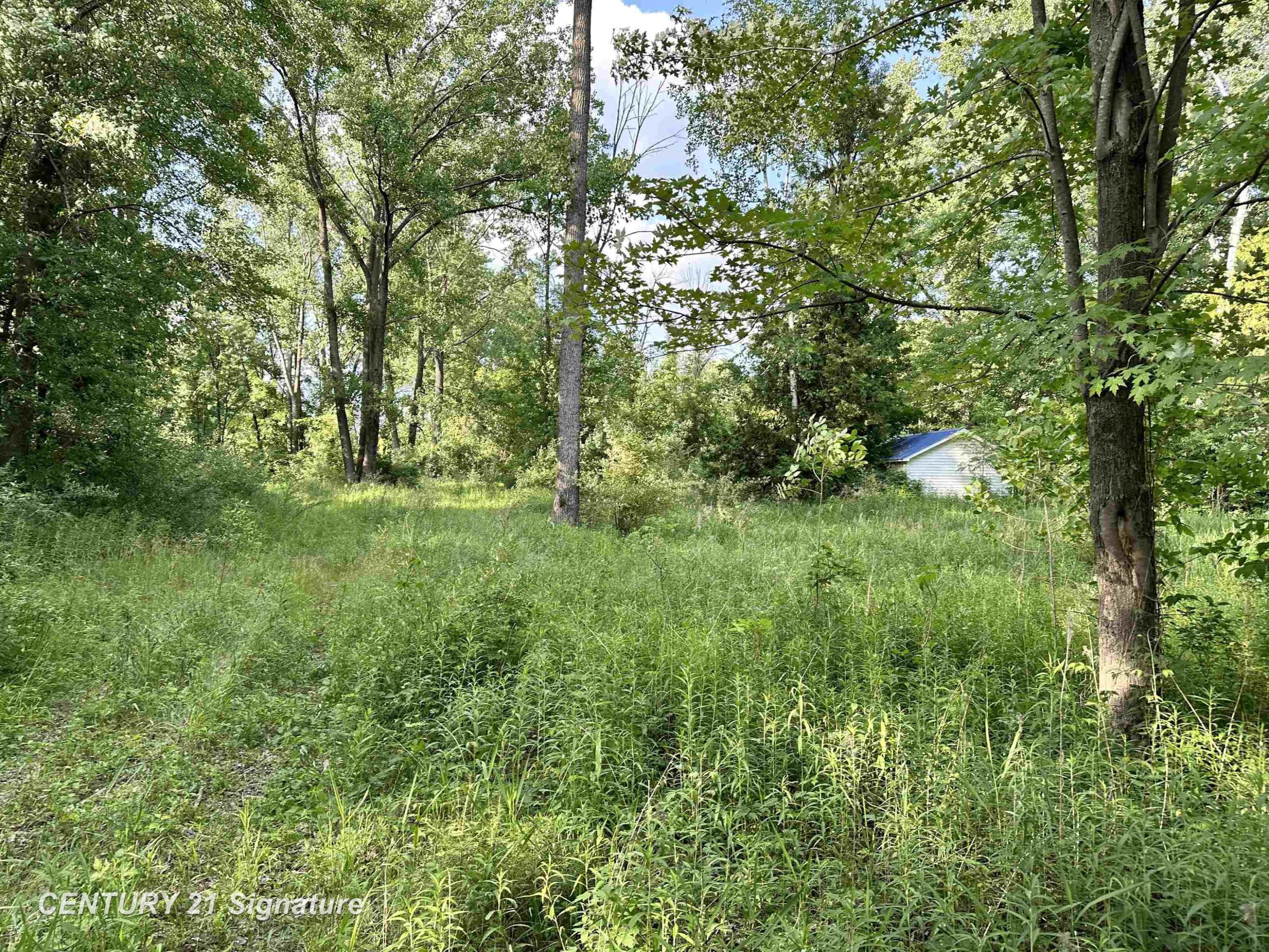 4020 Wieman Road, Beaverton, MI 48612