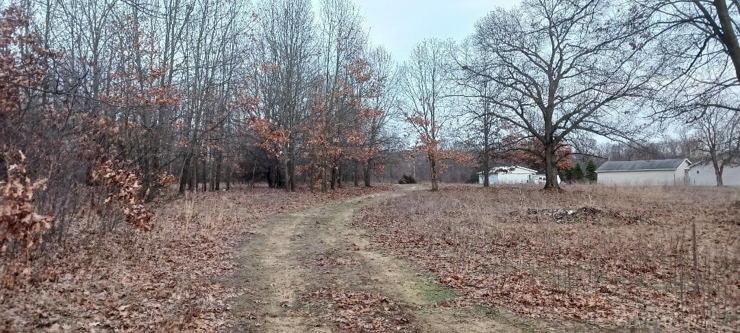 87573 County Road 668, Decatur, MI 49045