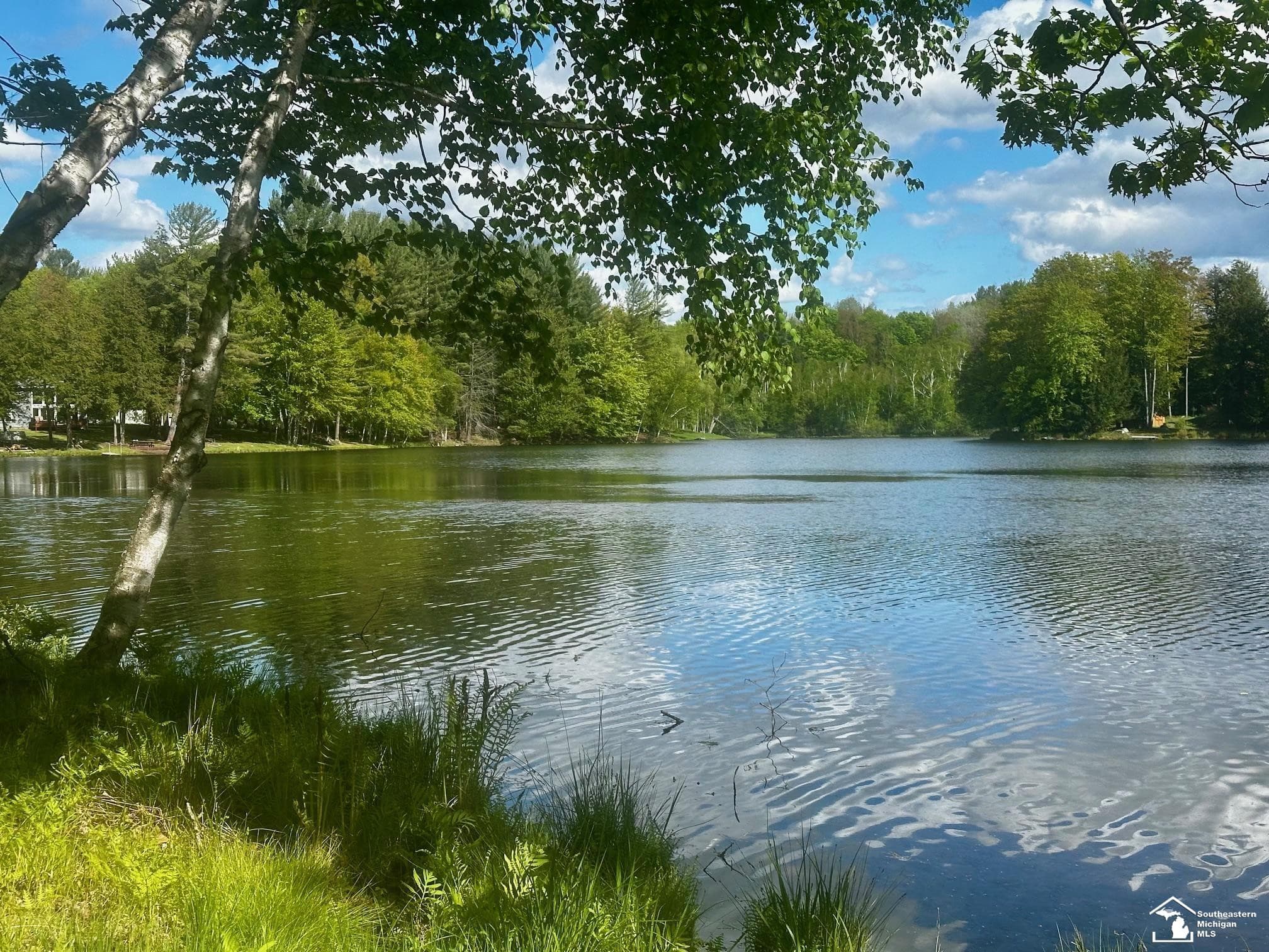 9835 Miramichi Drive, Evart, MI 49631