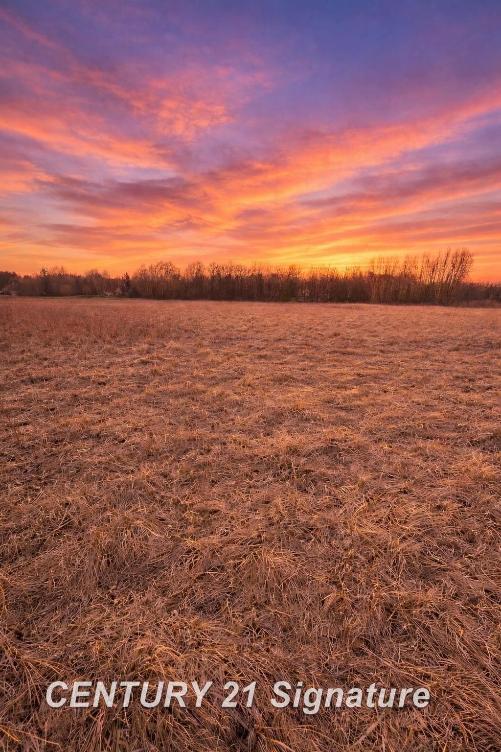 V/L E Hubbard Road, Midland, MI 48642