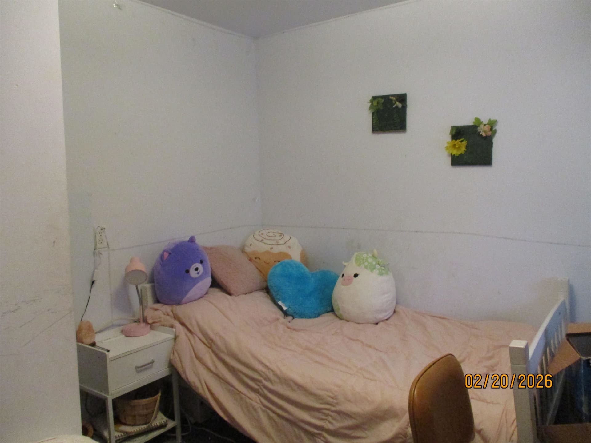 Photo 6