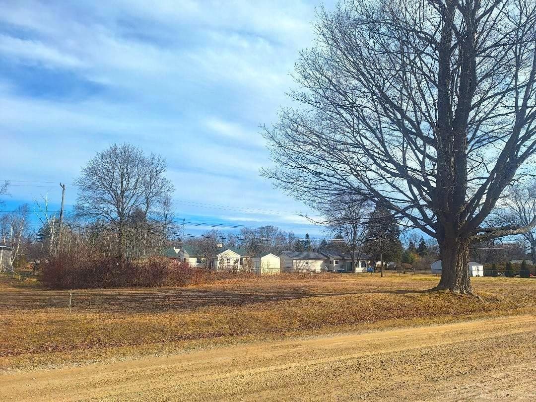 Lots 249-250 Blue Water Boulevard, Lexington, MI 48450