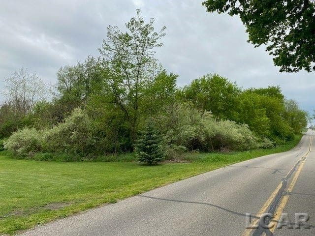8000 BLK Stephenson Road, Onsted, MI 49265