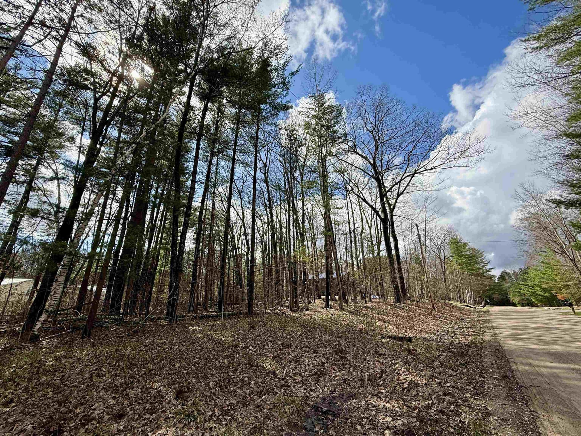 Wildwood Drive, Gladwin, MI 48624