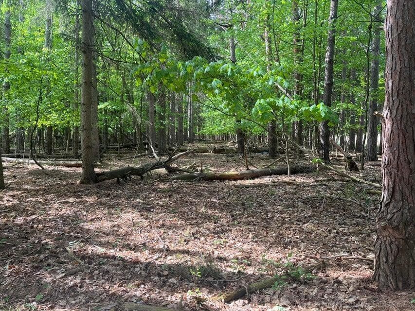 00 Mortimer Line Road, Croswell, MI 48422