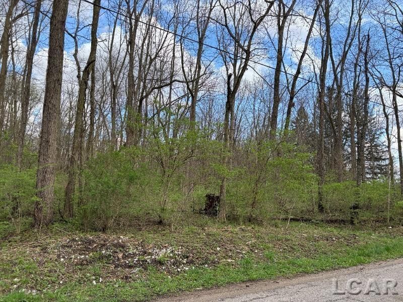 0 Black Highway, Adrian, MI 49221