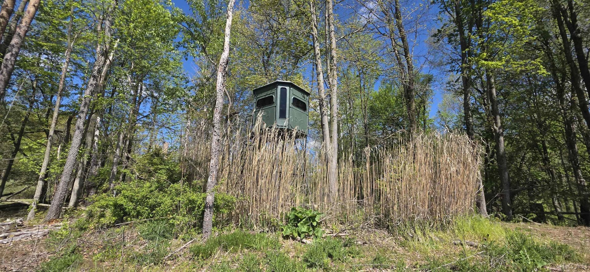 15252 27 Mile Road, Albion, MI 49224