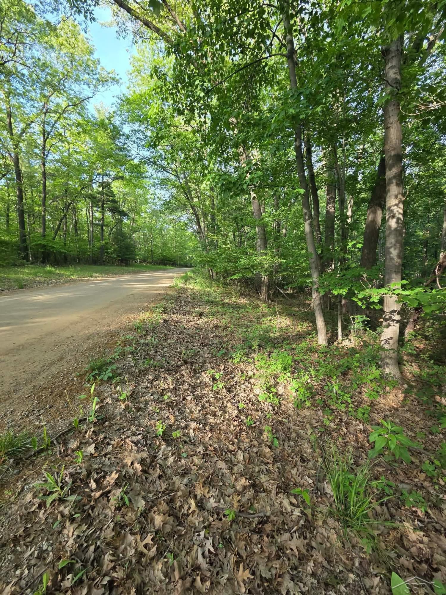 2531 Weaver Road, Port Austin, MI