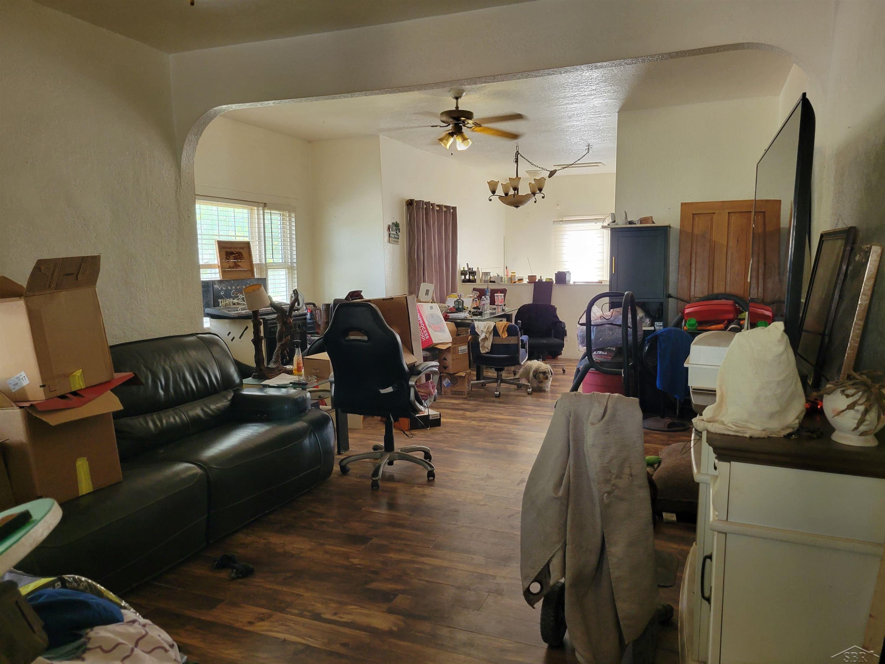 Photo 3