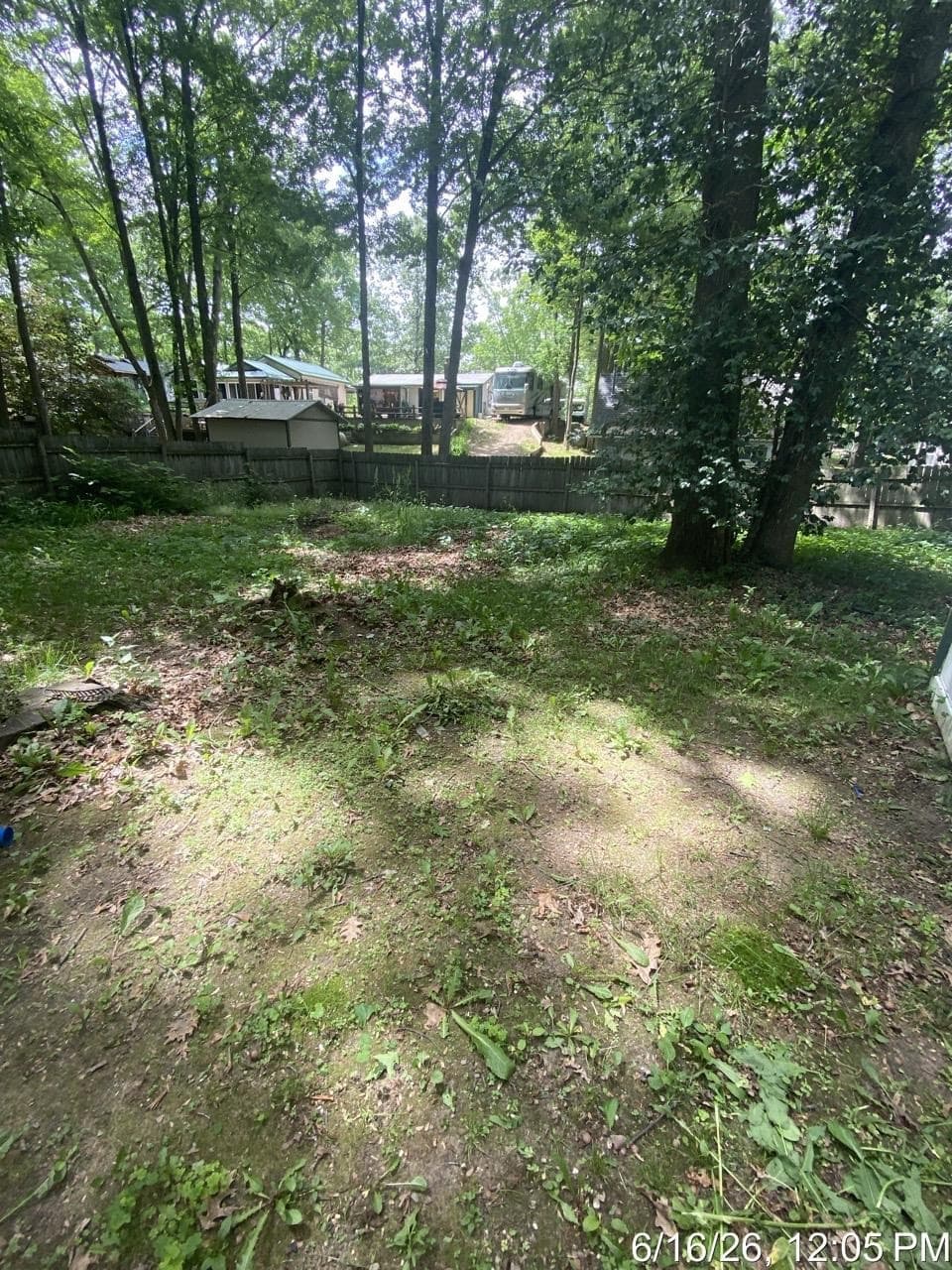 Photo 5