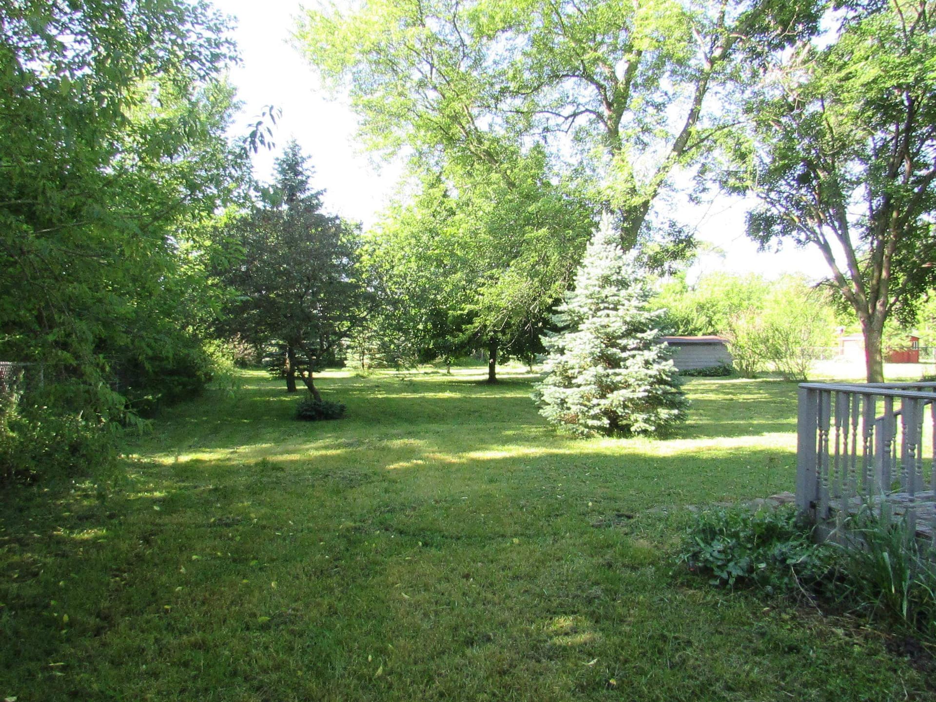 Photo 5