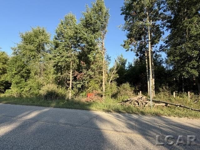 10459 Baker Road, Jerome, MI 49249