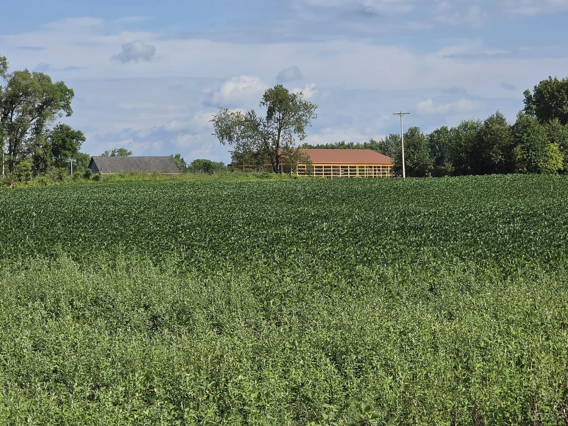 W Mosherville Road, Litchfield, MI 49252