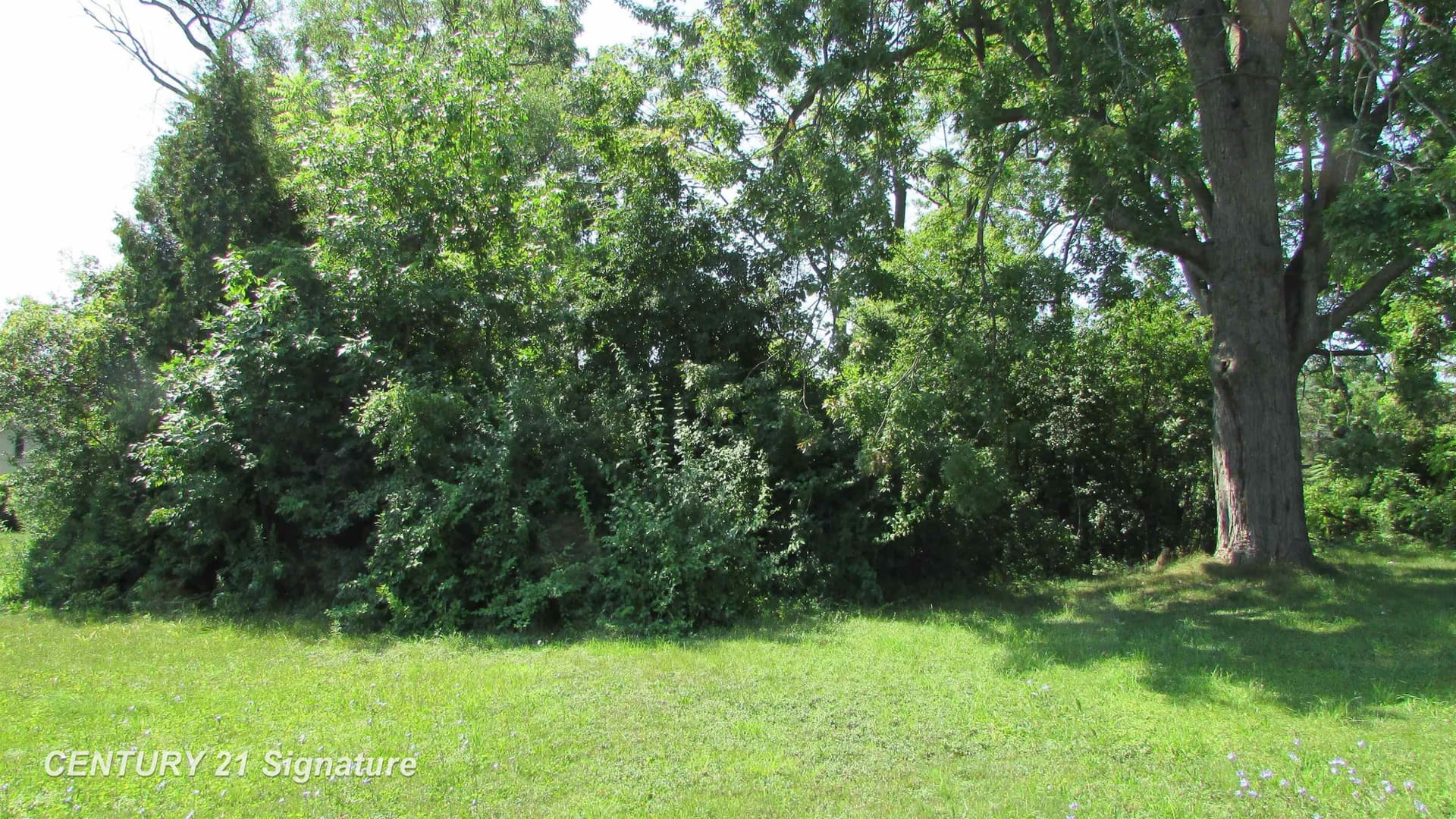 Parcel A Gratiot Road, Saginaw, MI 48638