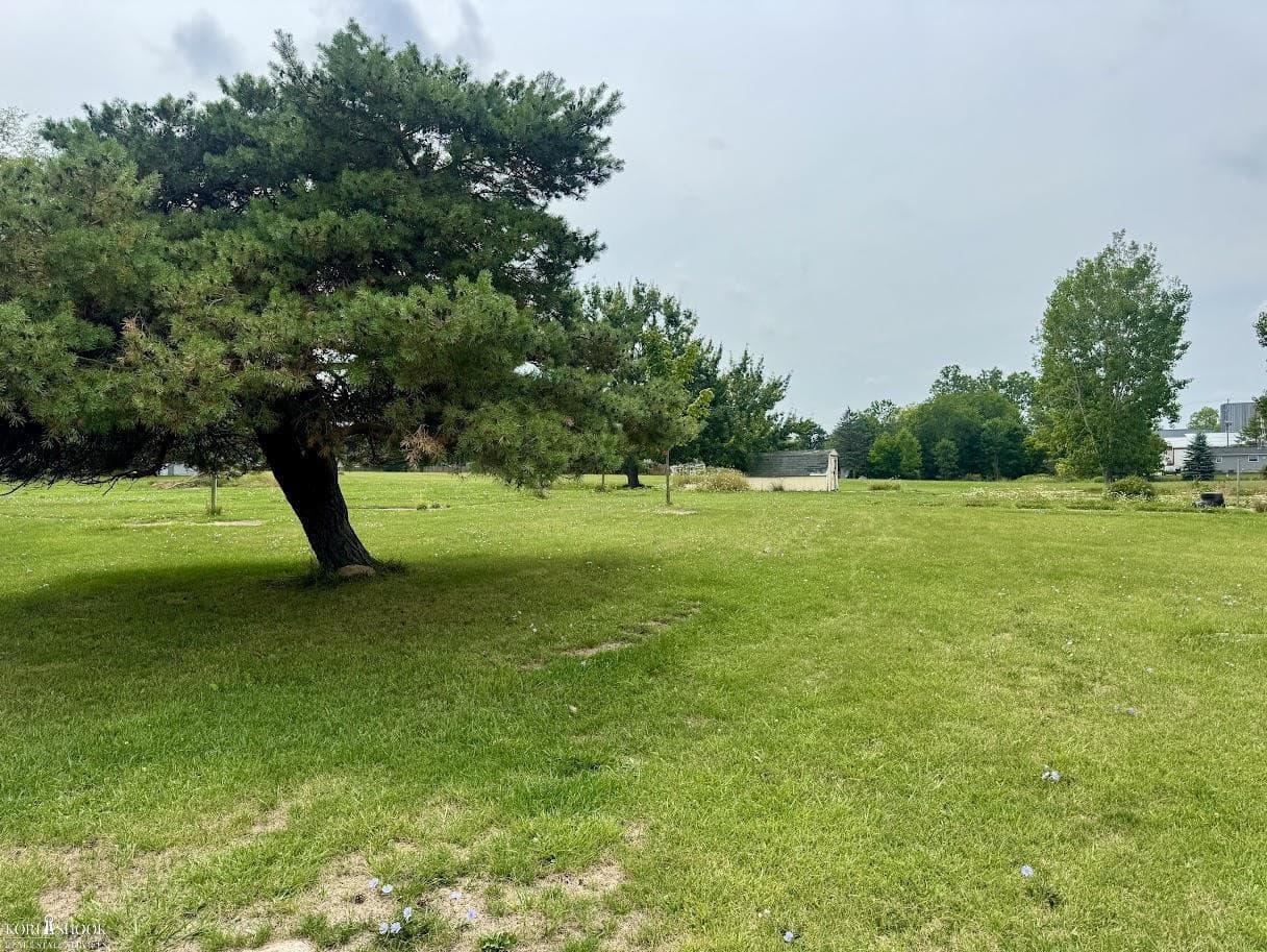539 N Chestnut Street, Owosso, MI 48867
