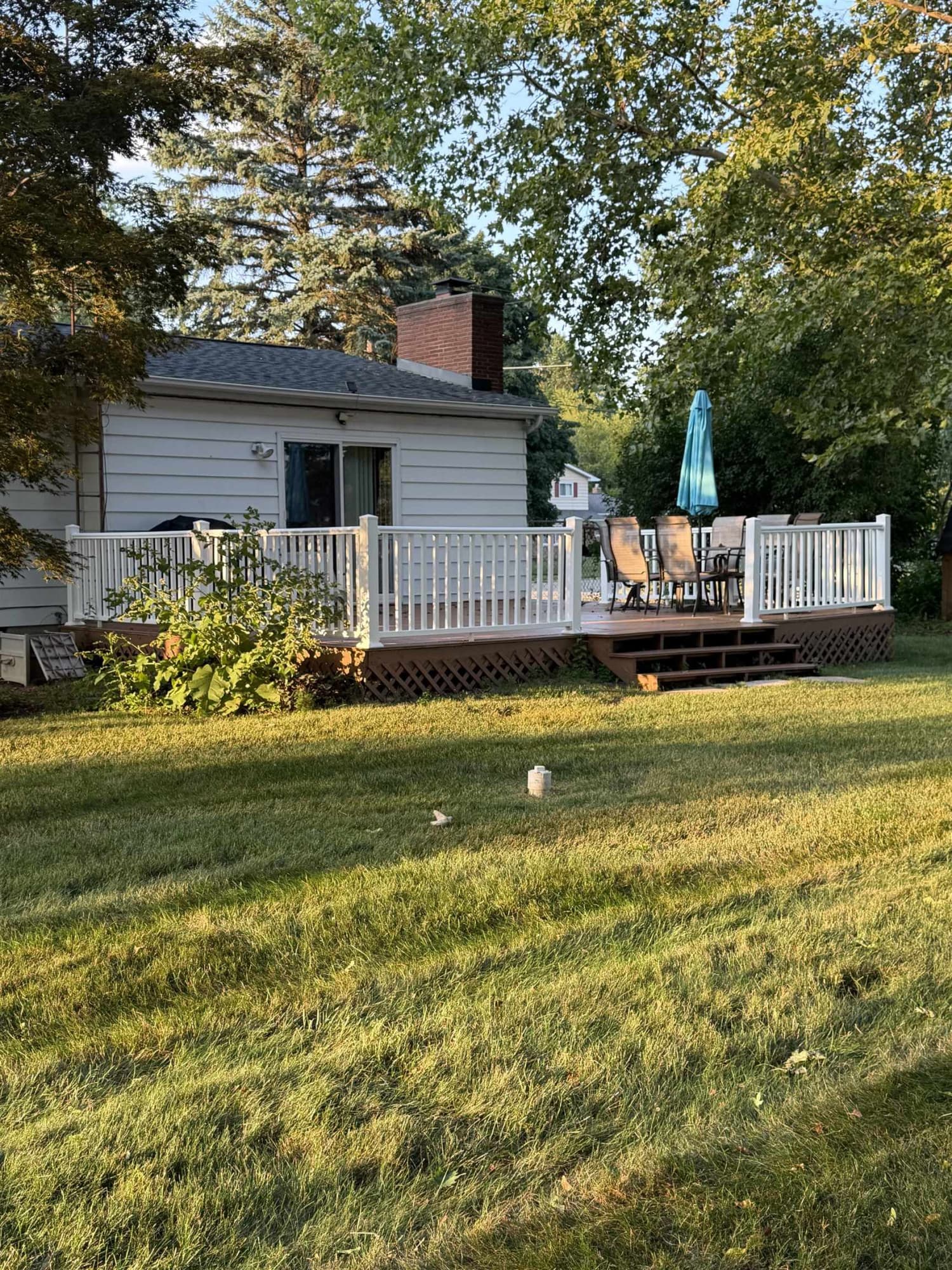 Photo 5