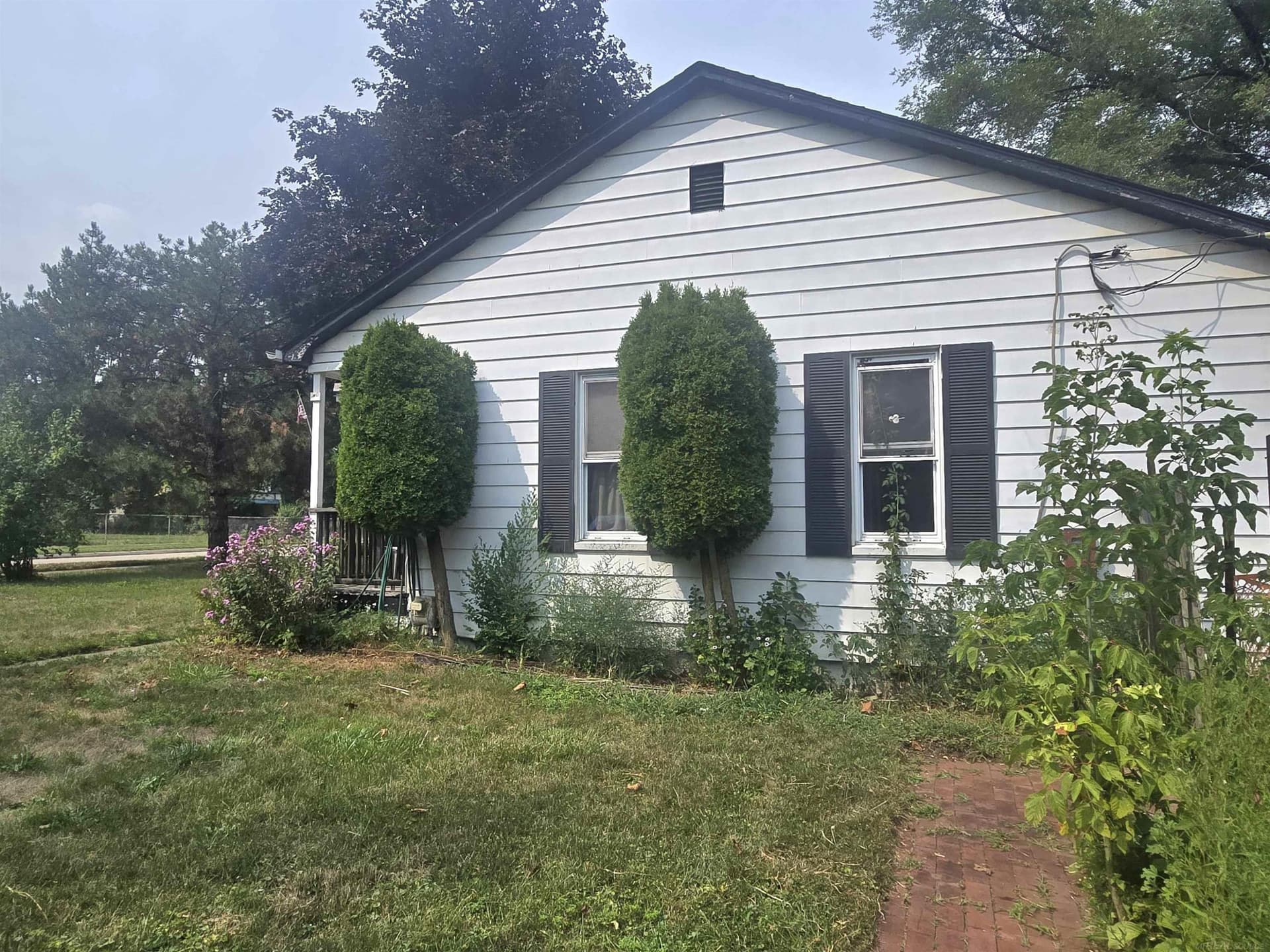 Photo 5