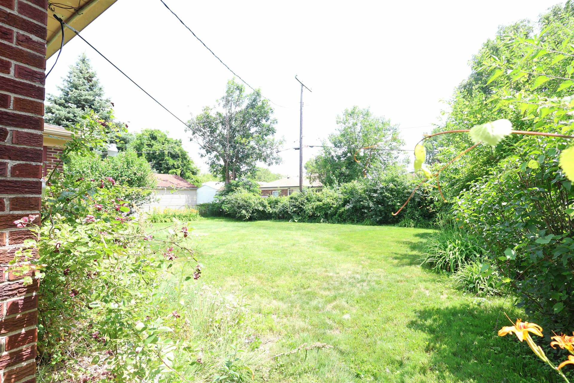 Photo 4