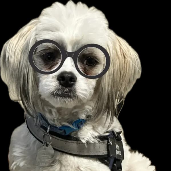 Shorty Bailey