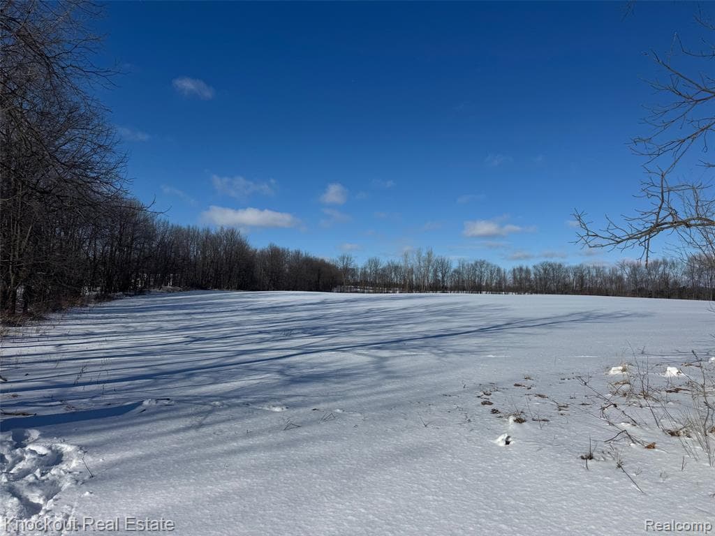 Parcel B Murphy Lake Road, Mayville Vlg, MI 48744